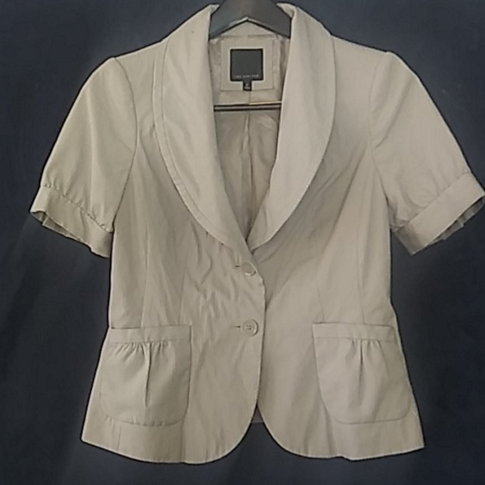 The Limited Pinstriped Jacket